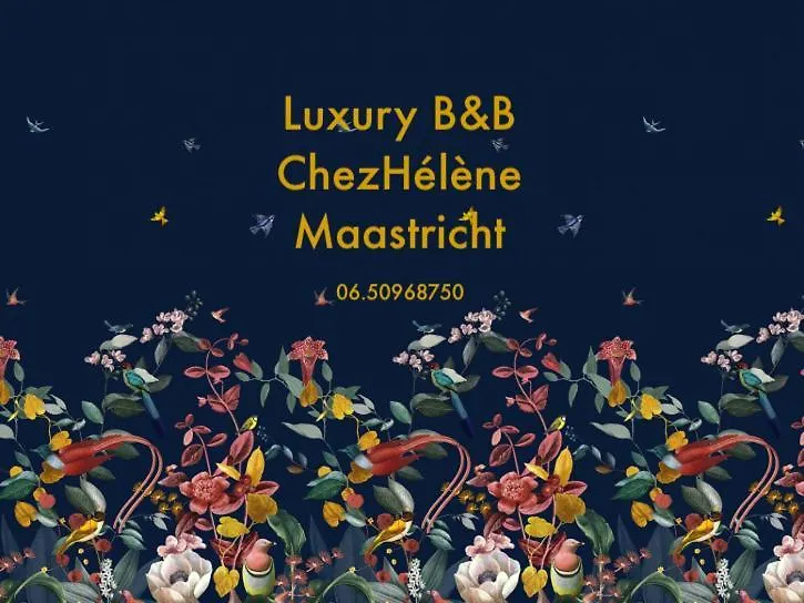 Bed & Breakfast Chez Helene Luxury Bnb Maastricht